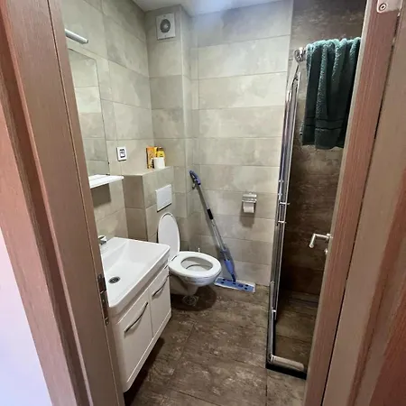 公寓 Tajmles Wellnes & 兹拉蒂博尔